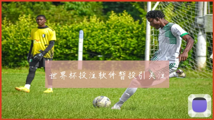 世界杯投注软件暂投引关注