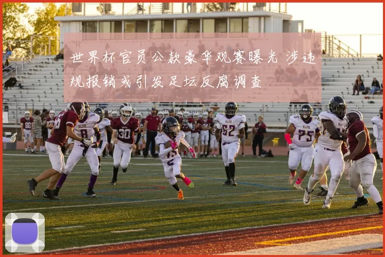 世界杯官员公款豪华观赛曝光 涉违规报销或引发足坛反腐调查