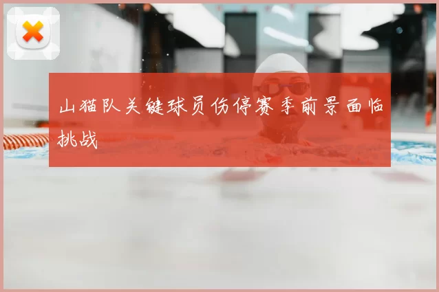 山猫队关键球员伤停赛季前景面临挑战