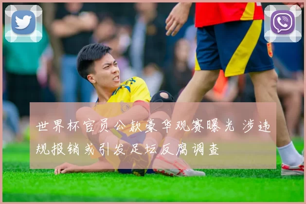 世界杯官员公款豪华观赛曝光 涉违规报销或引发足坛反腐调查