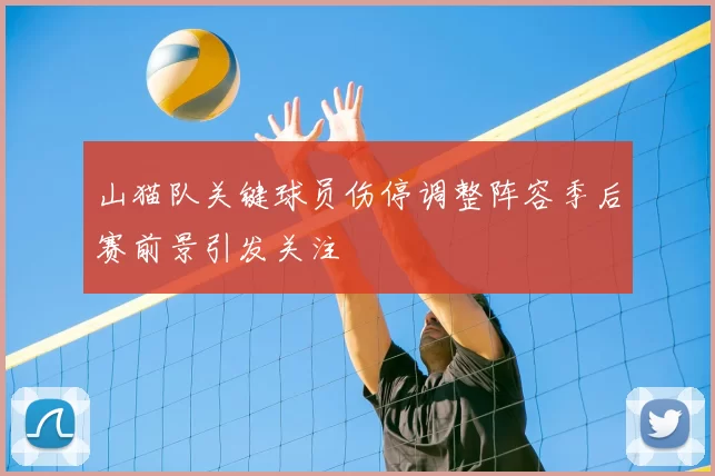 山猫队关键球员伤停调整阵容季后赛前景引发关注